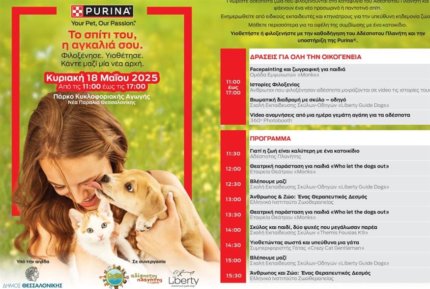 «Το Σπίτι του, η Αγκαλιά σου»: H επιτυχημένη πρωτοβουλία για λιγότερα αδέσποτα έρχεται στη Θεσσαλονίκη