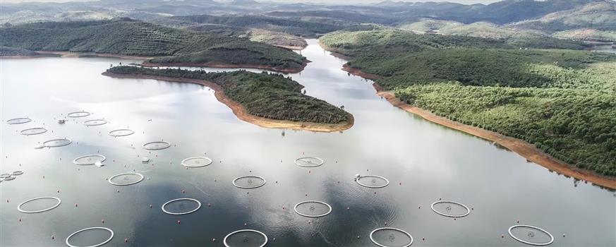 ©Rova Caviar ©Rova Caviar