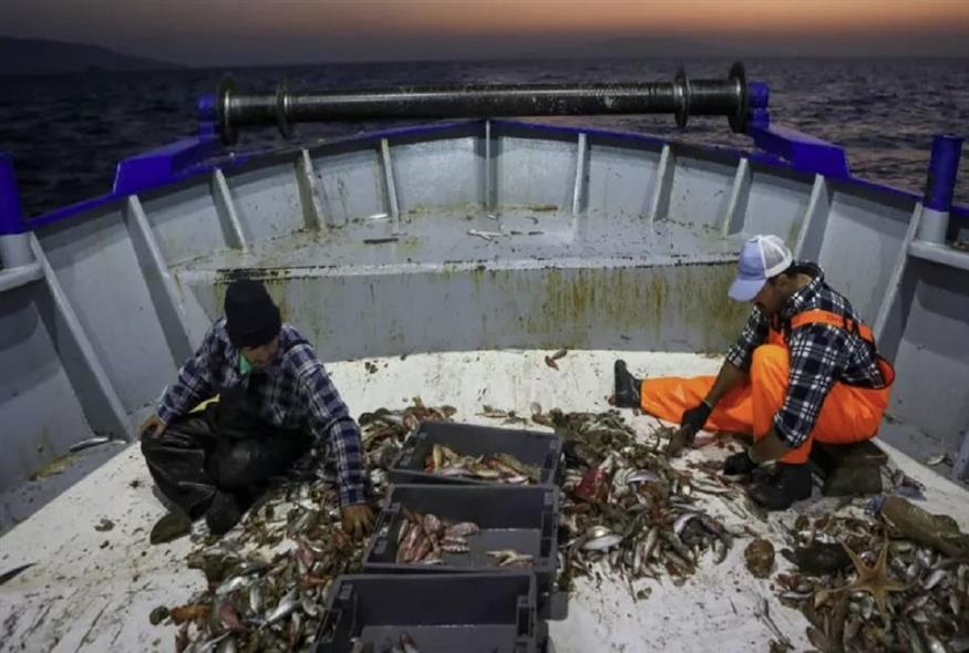 Λέσβος: Μια μέρα ψαρέματος με μηχανότρατα (ΑΠΕ-ΜΠΕ)