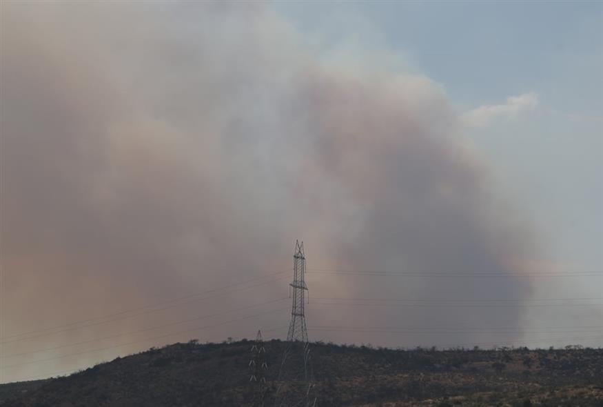 Φωτιά στην Οινόη (ΣΩΤΗΡΗΣ ΔΗΜΗΤΡΟΠΟΥΛΟΣ/ EUROKINISSI)