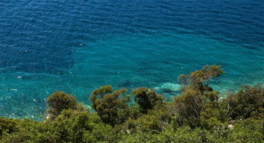 Γαλαζοπράσινα νερά με τα πεύκα να φτάνουν μέχρι τις ακτές! (φωτ.www.kalamos-island.gr)