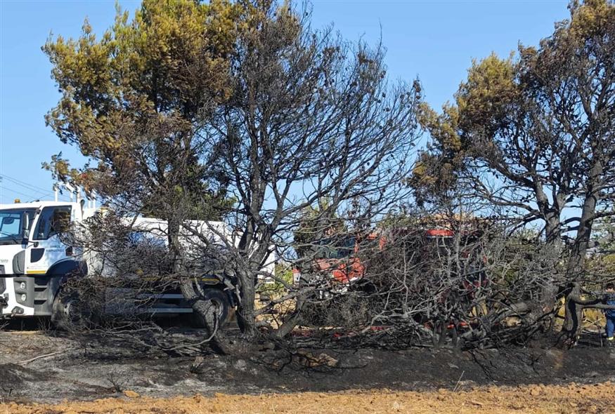 Καπανδρίτι