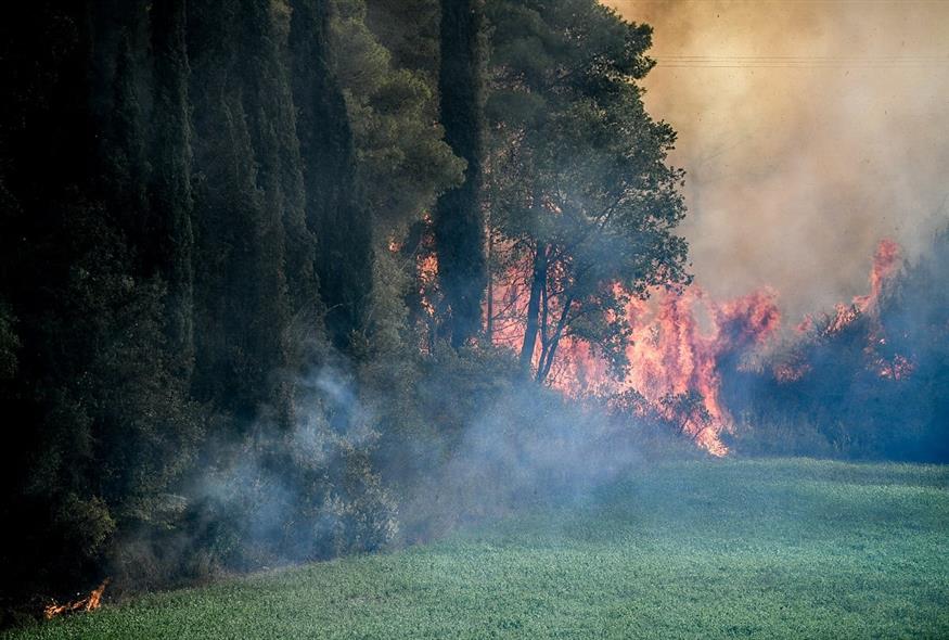 Φωτιά (ΓΙΑΝΝΗΣ ΣΠΥΡΟΥΝΗΣ/ILIALIVE.GR/EUROKINISSI)