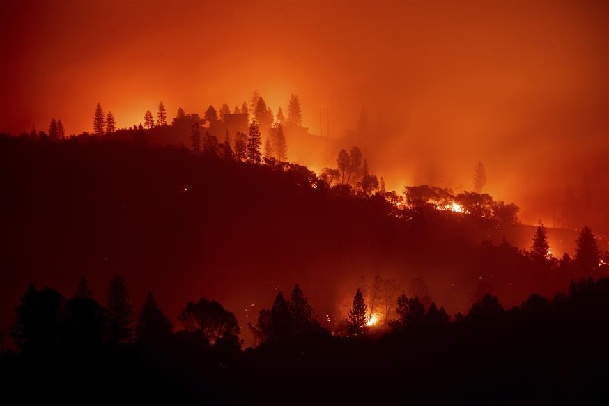 The Camp Fire burns along a ridgetop/(AP Photo/Noah Berger)