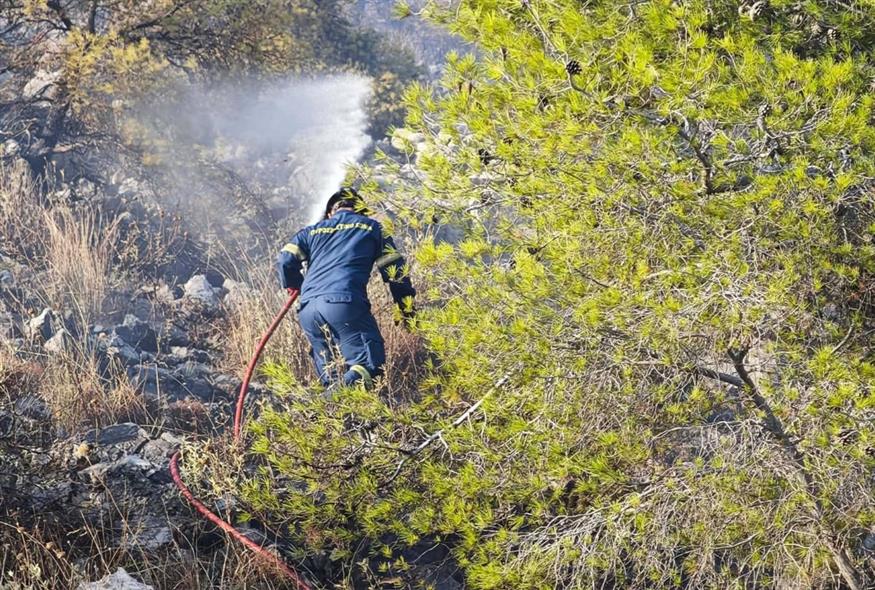 Φωτιά στο Ποικίλο Όρος