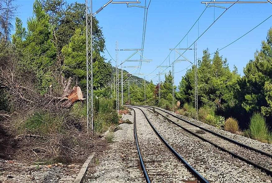 Το σημείο που έγινε το ατύχημα υπάρχουν στροφές και χάρις την ετοιμότητα του μηχανοδηγού σώθηκαν οι 35 επιβάτες / Φωτογραφία Κώστας Ασημακόπουλος για το ethnos.gr