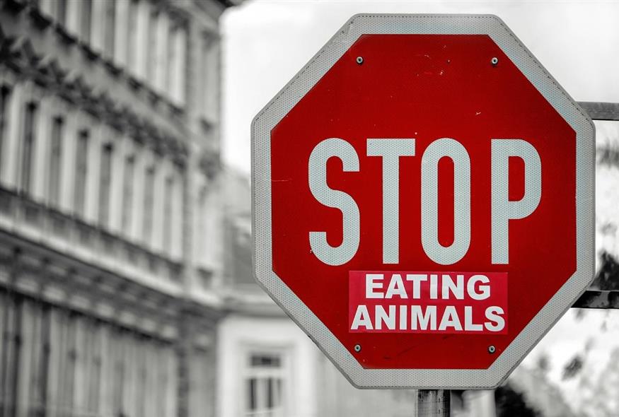 Επέστρεψε πράγματι το κρέας με ορμή στο νέο, τραμπικό τοπίο; | ©Unsplash Επέστρεψε πράγματι το κρέας με ορμή στο νέο, τραμπικό τοπίο; | ©Unsplash