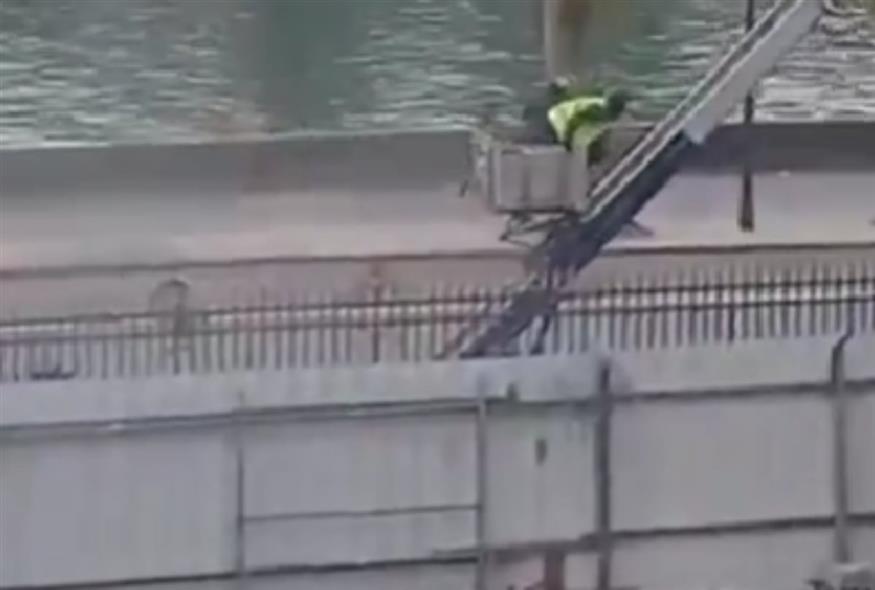 Κλοπή στο Λούβρο/X