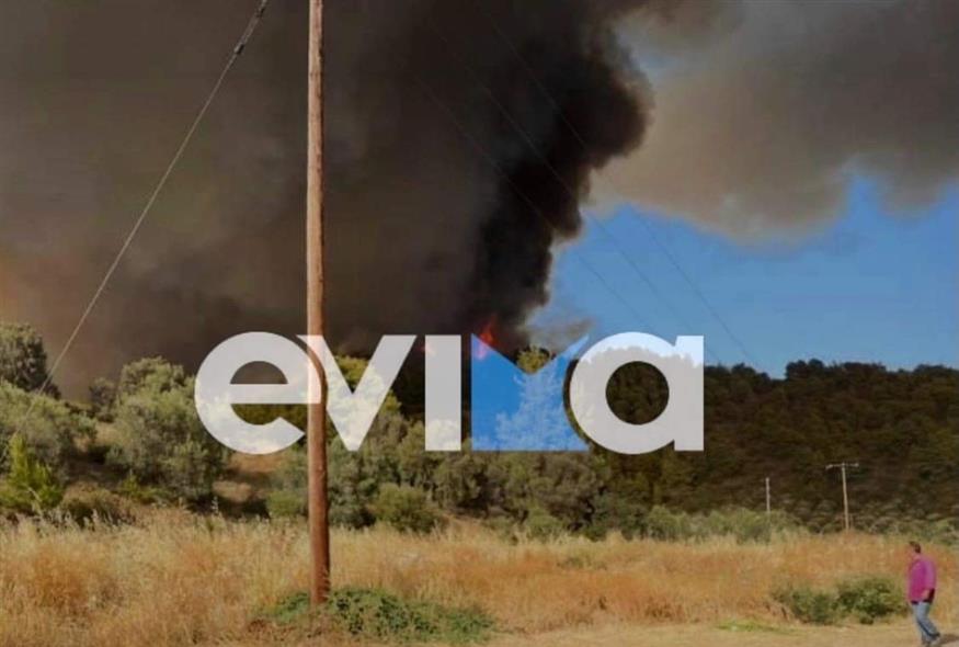 Μεγάλη φωτιά στην Εύβοια (evima.gr)