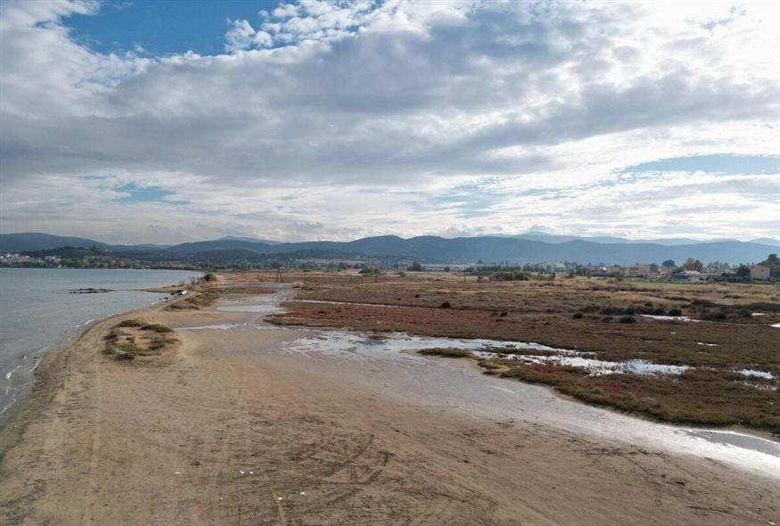 Ο υγρότοπος - υδροβιότοπος Σκάλας Ωρωπού - Φωτογραφία Κώστας Ασημακόπουλος ethnos.gr Ο υγρότοπος - υδροβιότοπος Σκάλας Ωρωπού - Φωτογραφία Κώστας Ασημακόπουλος ethnos.gr