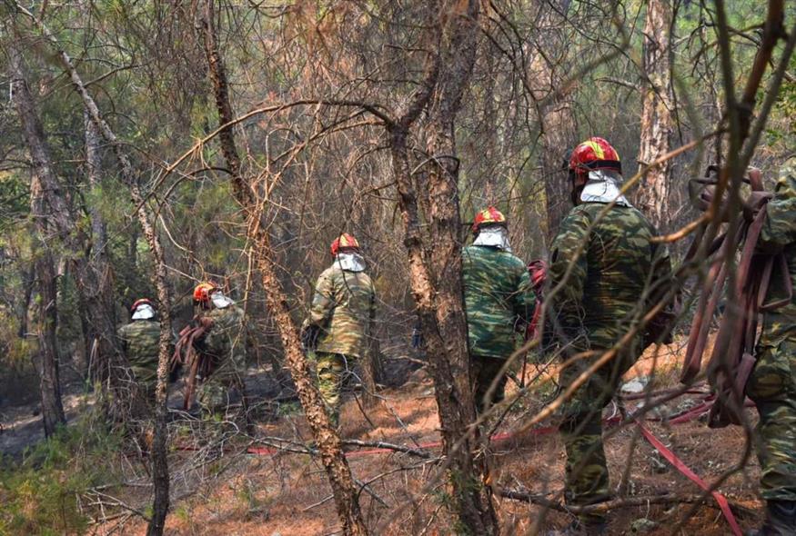 Εικόνα από την προσπάθεια κατάσβεσης της φωτιάς στη Δαδιά/ΓΡ. ΤΥΠΟΥ ΓΕΕΘΑ/EUROKINISSI