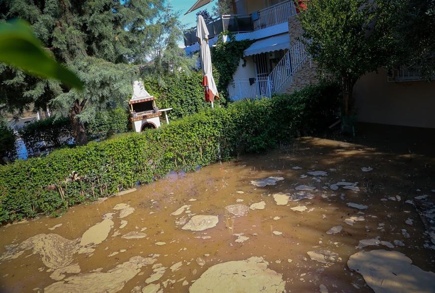 Πλημμύρες στην Θεσσαλία  (ΛΕΩΝΙΔΑΣ ΤΖΕΚΑΣ/EUROKINISSI)