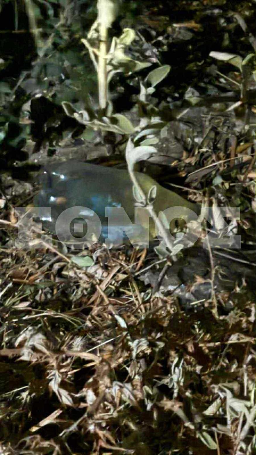 Εμπρηστές στην Αχαΐα/ethnos.gr