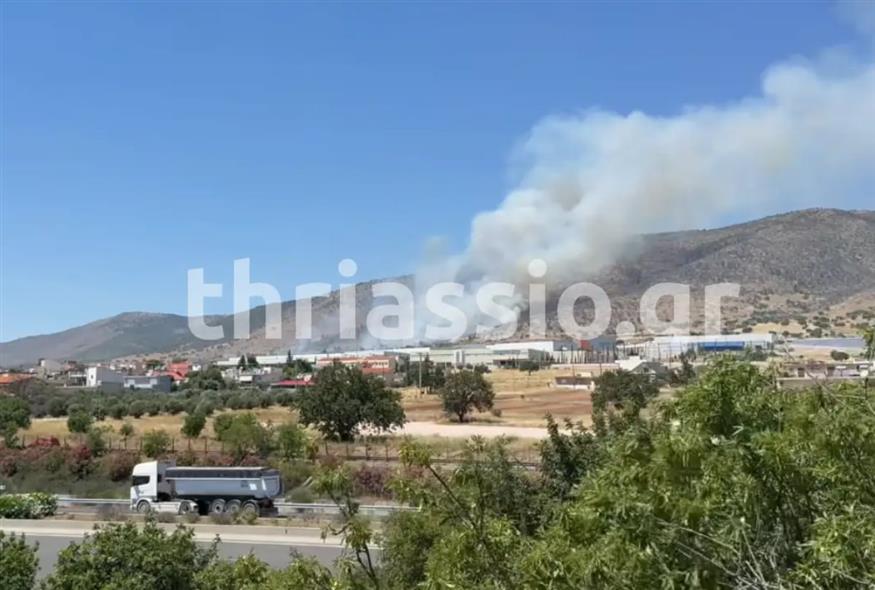 Φωτιά στον Ασπρόπυργο (thriassio.gr)