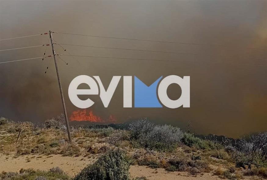 Φωτιά στην Εύβοια (evima.gr)