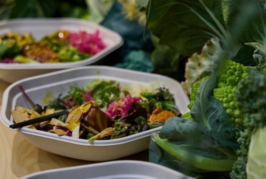 Γεύματα Protein Garden