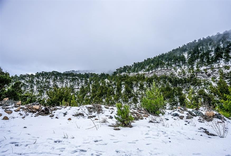 Χιόνι (ΠΑΝΑΓΙΩΤΗΣ ΜΠΑΛΑΣΚΑΣ/ΕUROKINISSI)