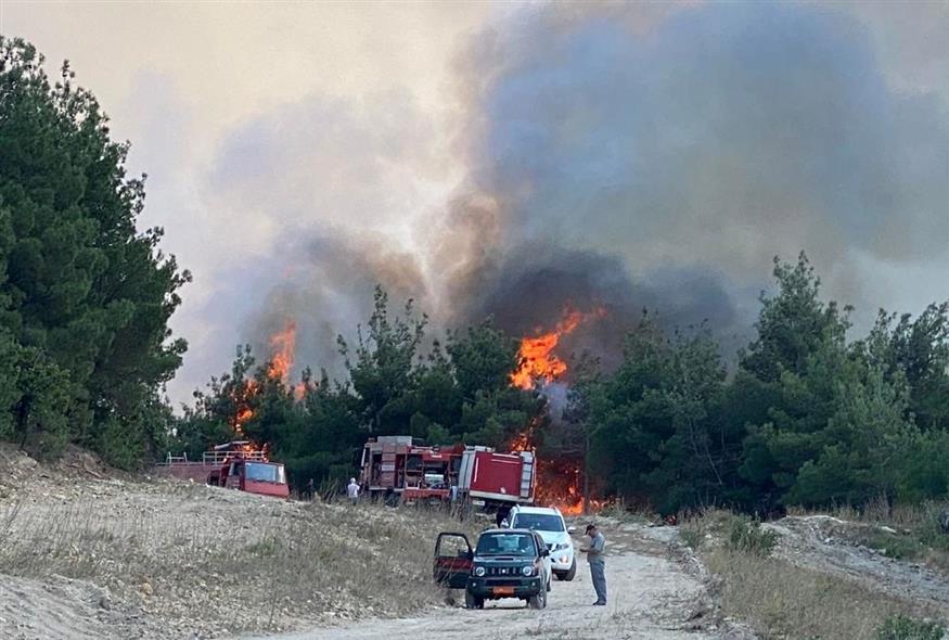 Μεγάλη πυρκαγιά στο δάσος Δαδιάς του Έβρου (e-evros.gr)