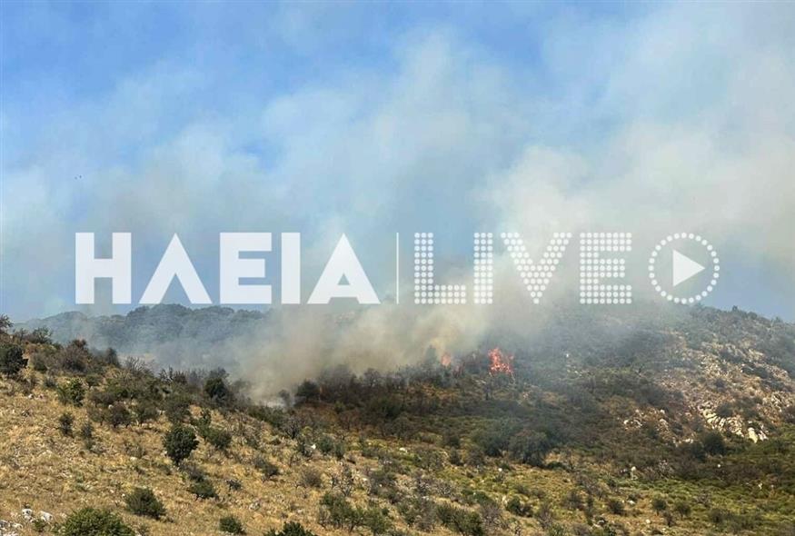 Πηγή φωτογραφίας: ilialive.gr