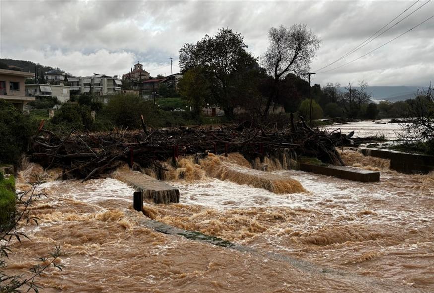Πλημμύρες Φιλιππιάδα (ΕΛΕΝΗ ΜΑΡΚΑΤΣΕΛΗ/INTIME NEWS)
