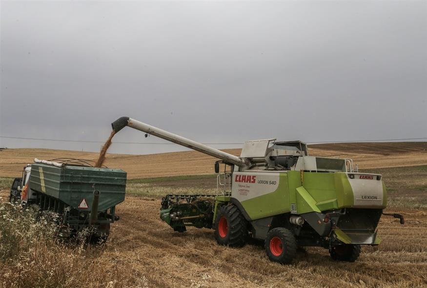 Αγρότης (EUROKINISSI)