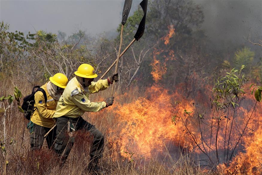 Βραζιλία φωτιά 2016 (AP photo -Vinicius Mendonca/Ibama)