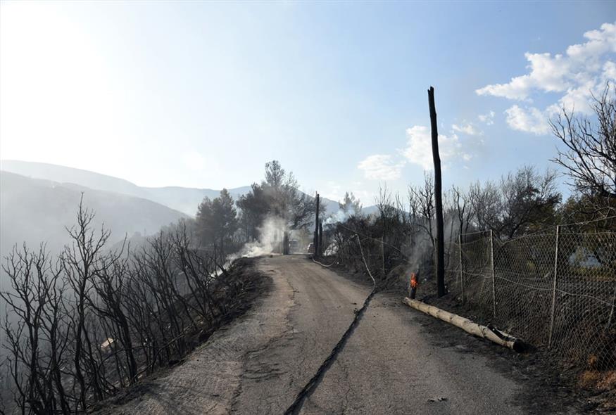 Καμένα σπίτια, απανθρακωμένα δέντρα και δρόμοι: Εικόνες καταστροφής από την Πάτρα (gallery) Καμένα σπίτια, απανθρακωμένα δέντρα και δρόμοι: Εικόνες καταστροφής από την Πάτρα (gallery)