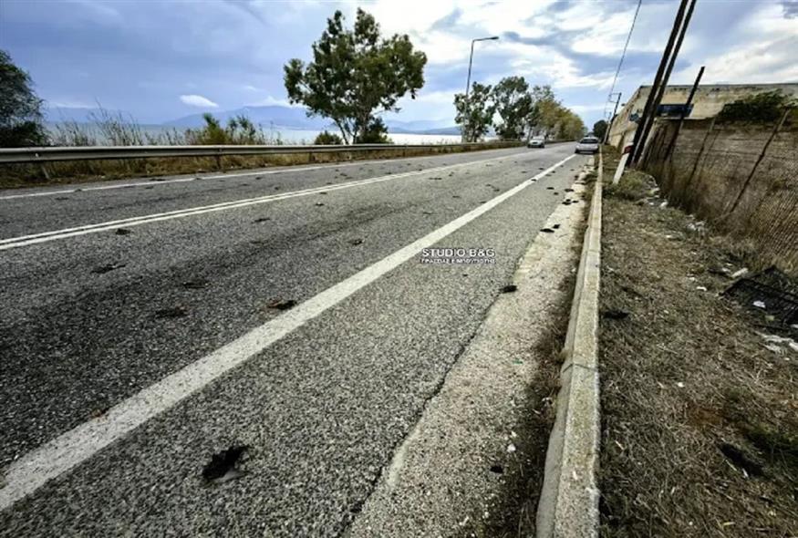 Εκατοντάδες νεκρά πουλιά στην παραλιακή Ναυπλίου – Νέας Κίου/argolikeseidhseis