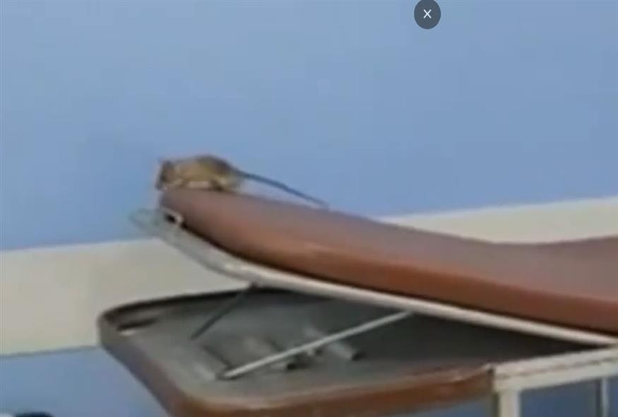 Στιγμιότυπο από το βίντεο με το ποντίκι/Alpha TV - video caption
