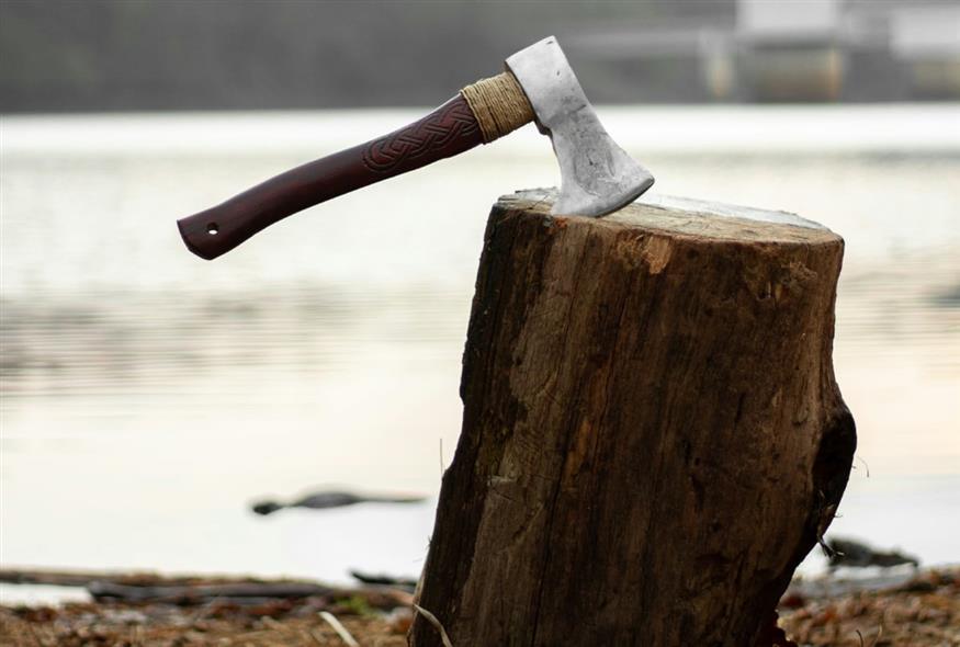 υλοτόμος/unsplash