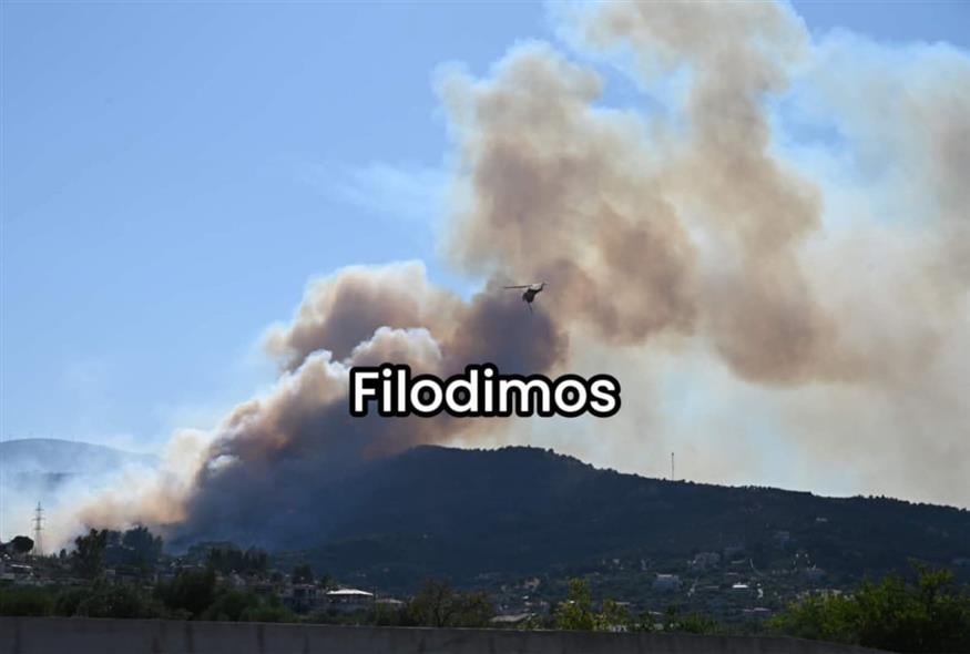 Φωτιά στην Αιγιαλεία