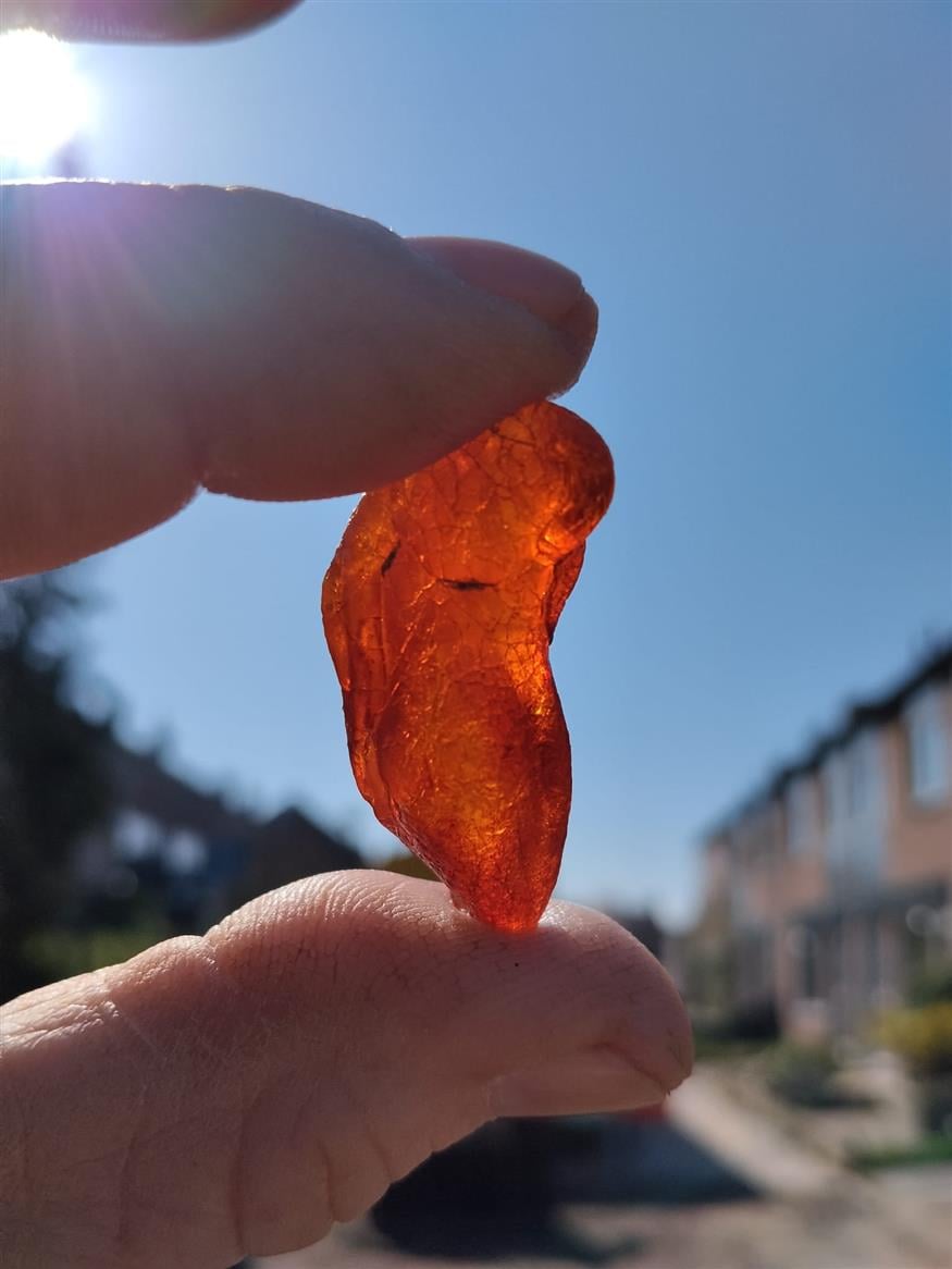 Πλοίο των Βίκινγκ