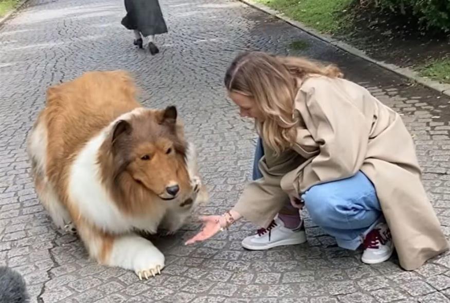 Ο εκκεντρικός Ιάπωνας που ξόδεψε χιλιάδες ευρώ για να μεταμορφωθεί σε σκύλο (Video Capture)