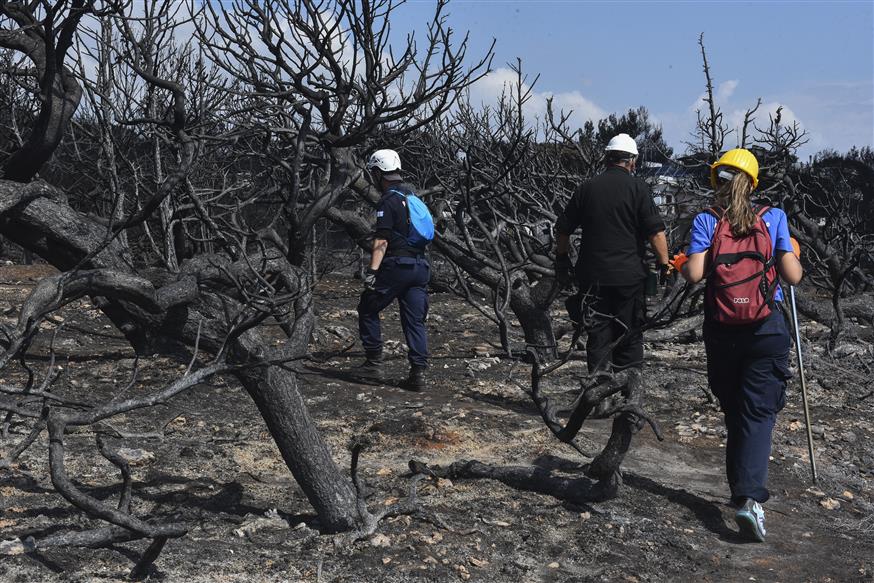 Συγκλονίζει η εικόνα από το κατεστραμμένο Μάτι μια εβδομάδα μετά την πυρκαγιά ((Eurokinissi/ΜΠΟΛΑΡΗ ΤΑΤΙΑΝΑ)