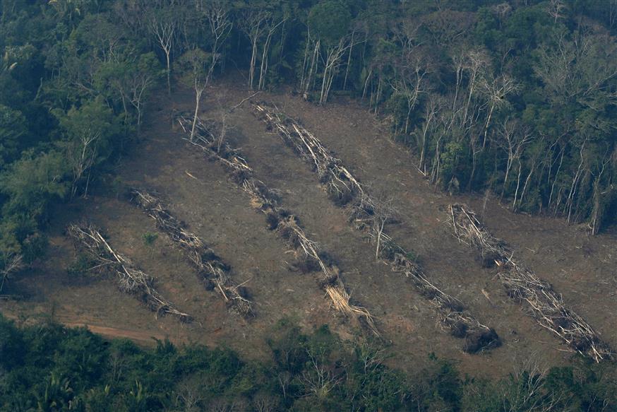 Φωτιά στον Αμαζόνιο (copyright: Associated Press)