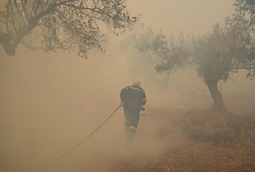 Φωτιά στην Κερατέα (gallery) Φωτιά στην Κερατέα (gallery)