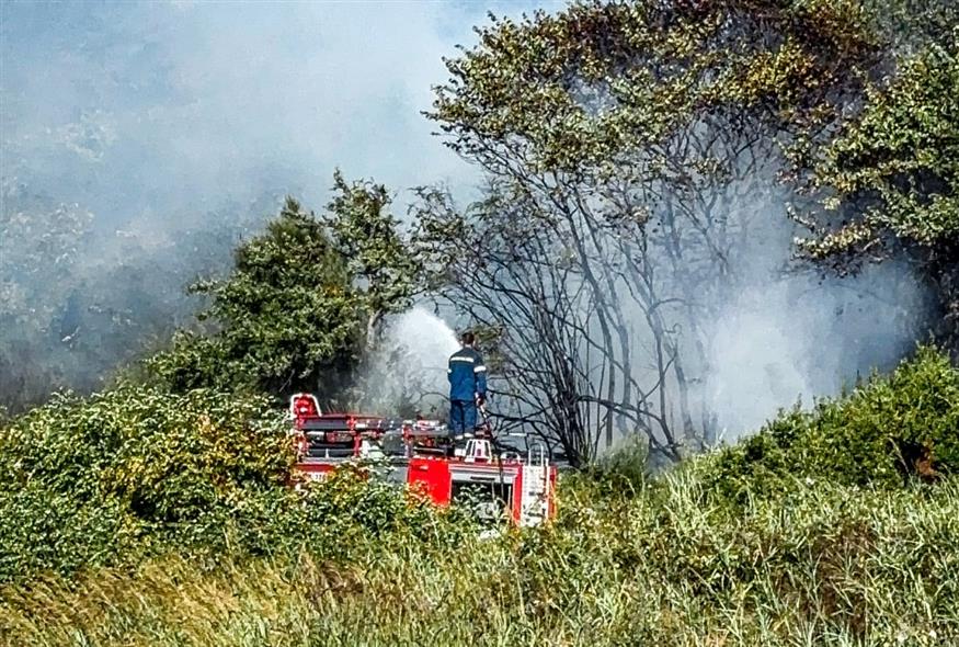 ΠΥΡΚΑΓΙΑ ΣΤΗ ΠΕΡΙΟΧΗ ΜΟΝΟΛΙΘΙ ΠΡΕΒΕΖΑΣ (ΓΙΩΡΓΟΣ ΕΥΣΤΑΘΙΟΥ/EUROKINISSI)