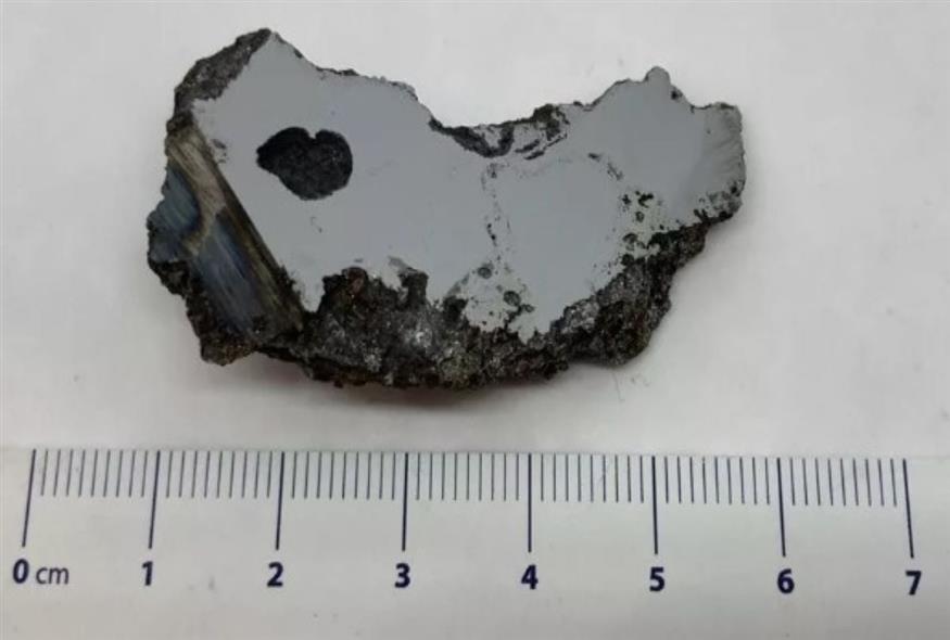 Το κομμάτι του μετεωρίτη που περιέχει τα μοναδικά ορυκτά (University of Alberta Meteorite)