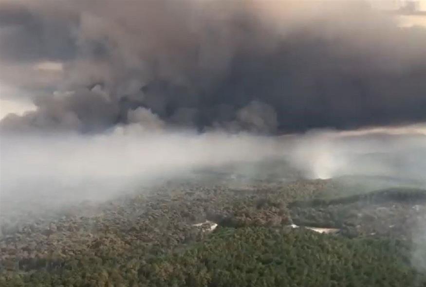 Σε εξέλιξη μεγάλες δασικές πυρκαγιές στη Γαλλία (Video Capture)