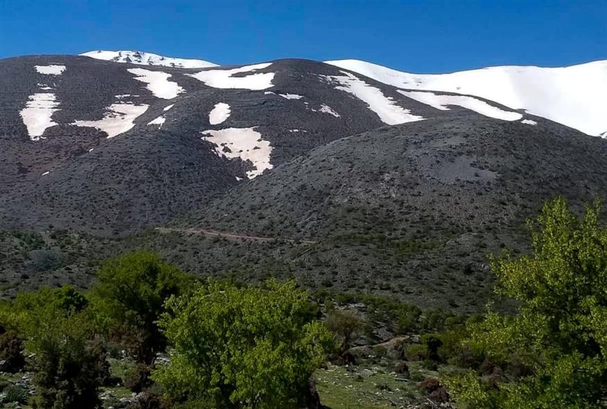 Ψηλορείτης/ΙΝΤΙΜΕ