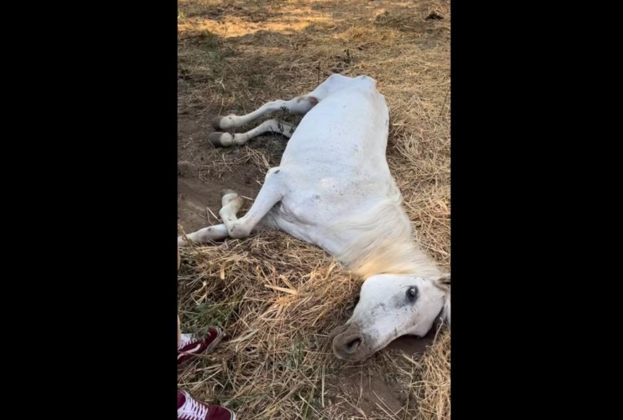 Η τραγική ιστορία της Μαριάνθης