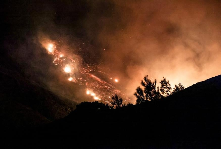 Φωτιά στη Χίο (EUROKINISSI)