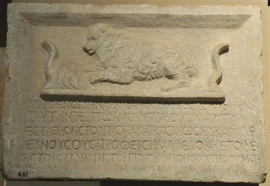 Αρχαίος τάφος σκυλίτσας υπενθυμίζει την προαιώνια αγάπη του ανθρώπου