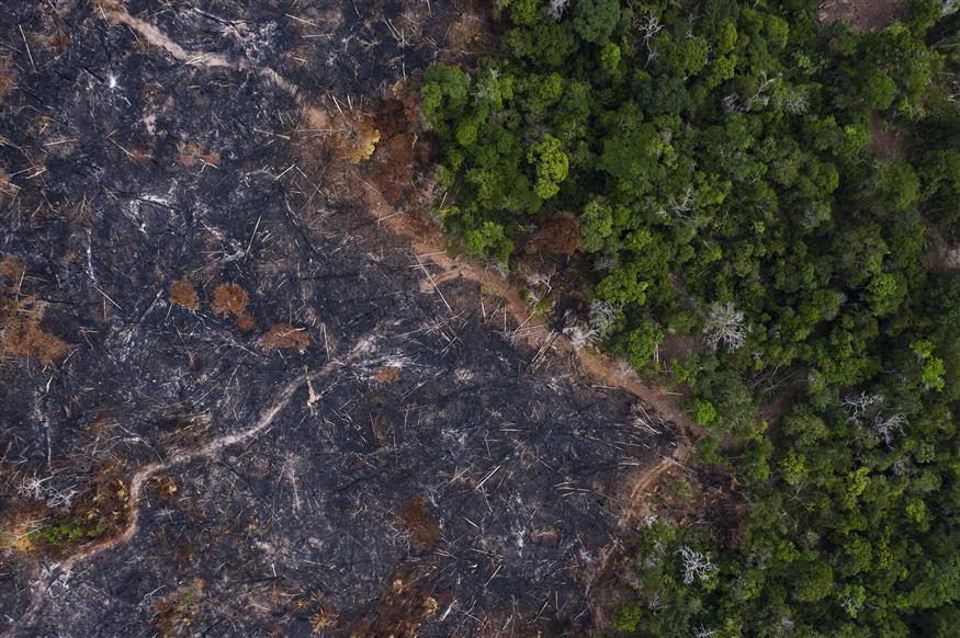 Καμένη έκταση στο δάσος του Αμαζονίου/AP Images