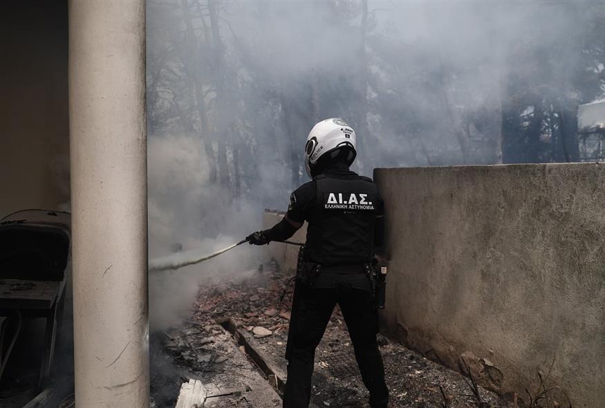 Αστυνομικός της ομάδας ΔΙΑΣ σε πύρινο μέτωπο (Φωτογραφία αρχείου - EUROKINISSI)