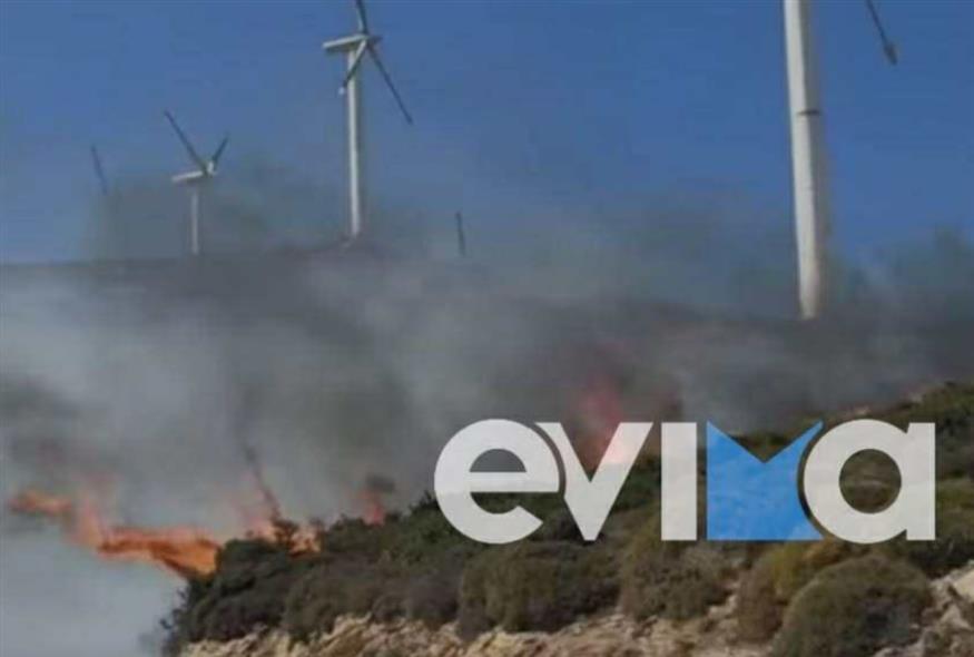 Μεγάλη φωτιά στην Εύβοια (evima.gr)