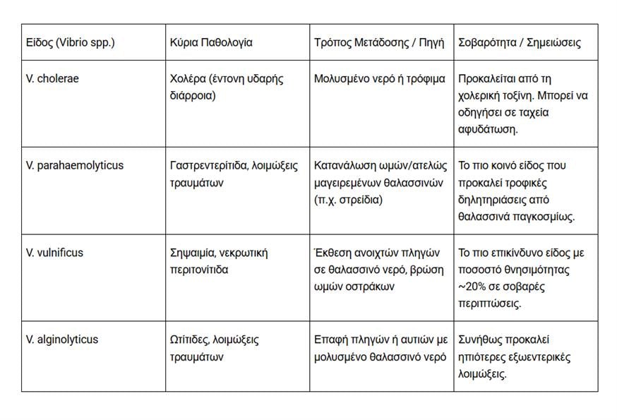 (pakoe.gr) (pakoe.gr)