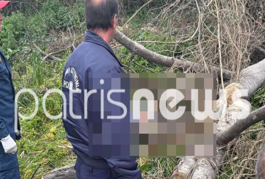 Φωτογραφία patrisnews