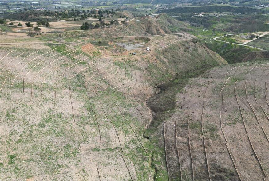 Αντιδιαβρωτικά έργα στο δάσος της Δροσοπηγής