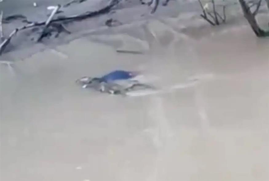 Κροκόδειλος